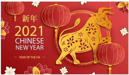 河南盛順凱新型建筑材料有限公司祝大家新年快樂(lè)，牛年更比一年牛！